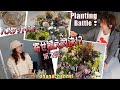 冬の寄せ植え⛄バスケットに寄せ植え対決⁉Winter Flower Basket🌼Planting Battle⁉🔥