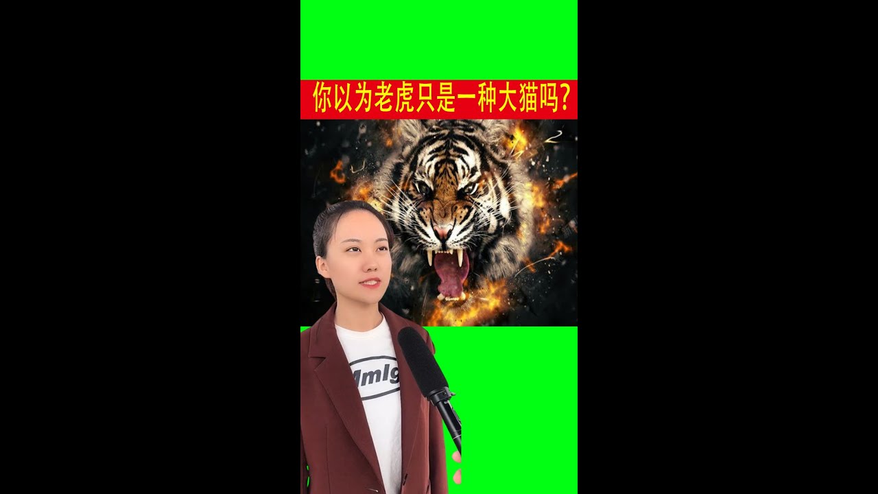 《野生东北虎的强悍超乎你的想象》&《古代生物》 - YouTube