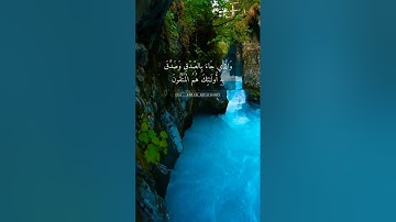 تلاوة هادئة من سورة الزمر _القارئ عبد الرحمن سويد ....