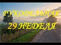 Рукодельно-вышивально-огородная 29 неделя (август) 2021г /Вышивка/3 старта/Заготовки/Цыплята