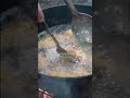 Cooking Fish Over a Campfire
