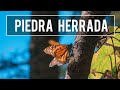 Santuario de Mariposa Monarca Piedra Herrada cerca de Valle de Bravo Estado de México / El Andariego