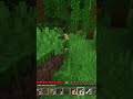 ماينكرافت - صيد سمك وروضت نمر صغير 🐟🐆🔥 #minecraft # #shortvideo #shortsyoutube #short #shorts