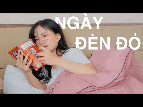 Video: Đầu Dò Nhật Ký để Làm Gì?