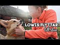 Vlogg - LOWIS FLYTTAR .... i några dagar