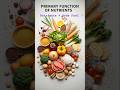 #DreamTrackAI Primary function of nutrients is provide a substance for growth,energy body function,