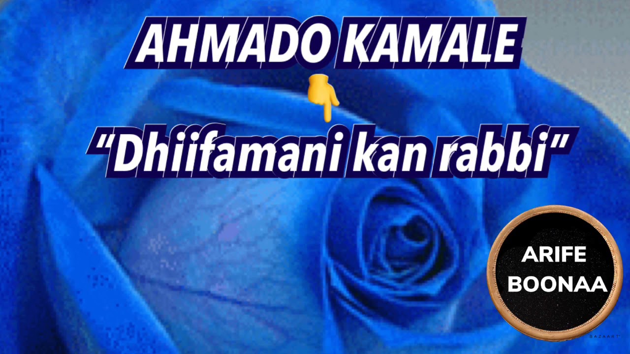 AMADO KAMALE__Dhiifamni kan rabbi__best old oromo music