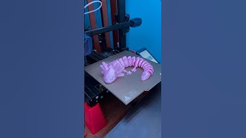 3D Printing an Axolotl that MOVES!