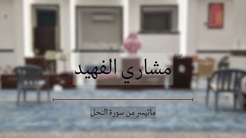 استرسال ماتع من سورة النحل للقارئ مشاري الفهيد