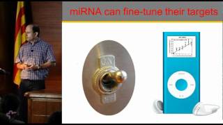 MicroRNAs: new kids on the genomic block