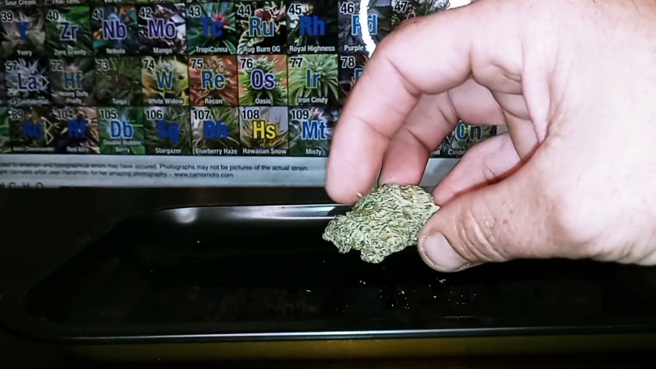 Figments strain review