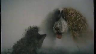 Hedgehog in the fog with english voices.