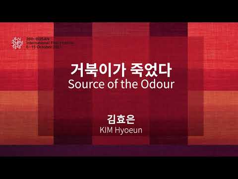 BIFF2021 감독 인사말 | 거북이가 죽었다 Source of the Odour | 김효은 KIM Hyoeun
