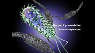 Información Bacteria PowerPoint Template by PoweredTemplate.com Guía