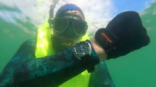 Are They Overrated? Seiko Turtle Dive Watches