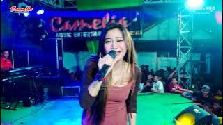 CAMELIA MUSIC - TIRANI - EVIS RENATA - WEDDING SEKAR & YANTO CEPOGO KEMBANG JEPARA