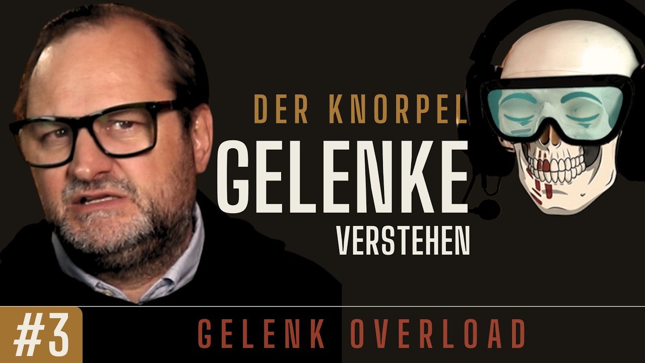 Gelenk Overload #3 | Gelenke verstehen | Der Knorpel