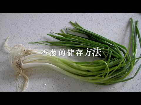 蔥怎麼保存｜香葱 小葱 大葱 保存方法 馨月 生活小妙招