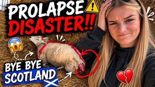 Prolapse Disaster !!! bye bye Scotland !!