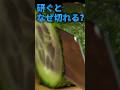 研ぐとなぜ切れる？刃物の切断メカニズム