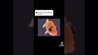 v09044410000c1ef33p1jdftmh575rr0