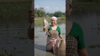"Caught a beautiful Rohu fish using a bamboo fish trap (Polo) #fishingworld #RohuFish #PoloFishing