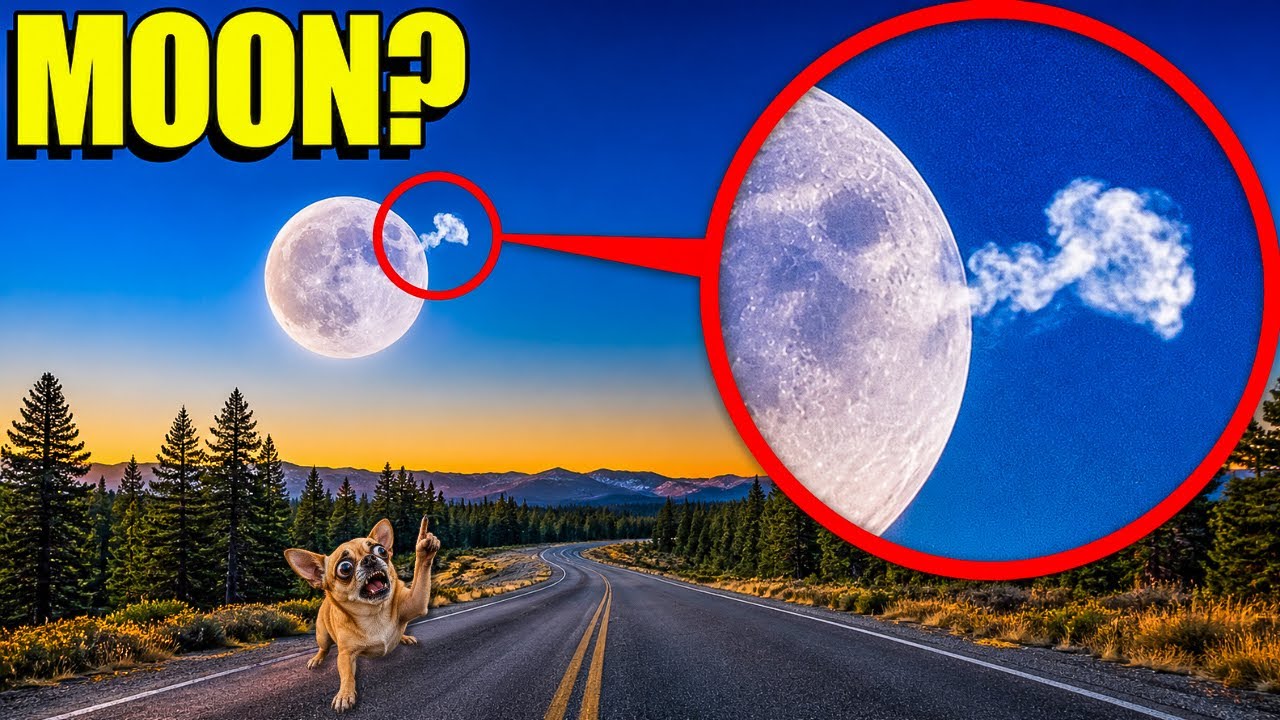 IF YOU SEE THIS ON THE MOON, CALL FOR HELP FAST! 😱 (IT WILL END