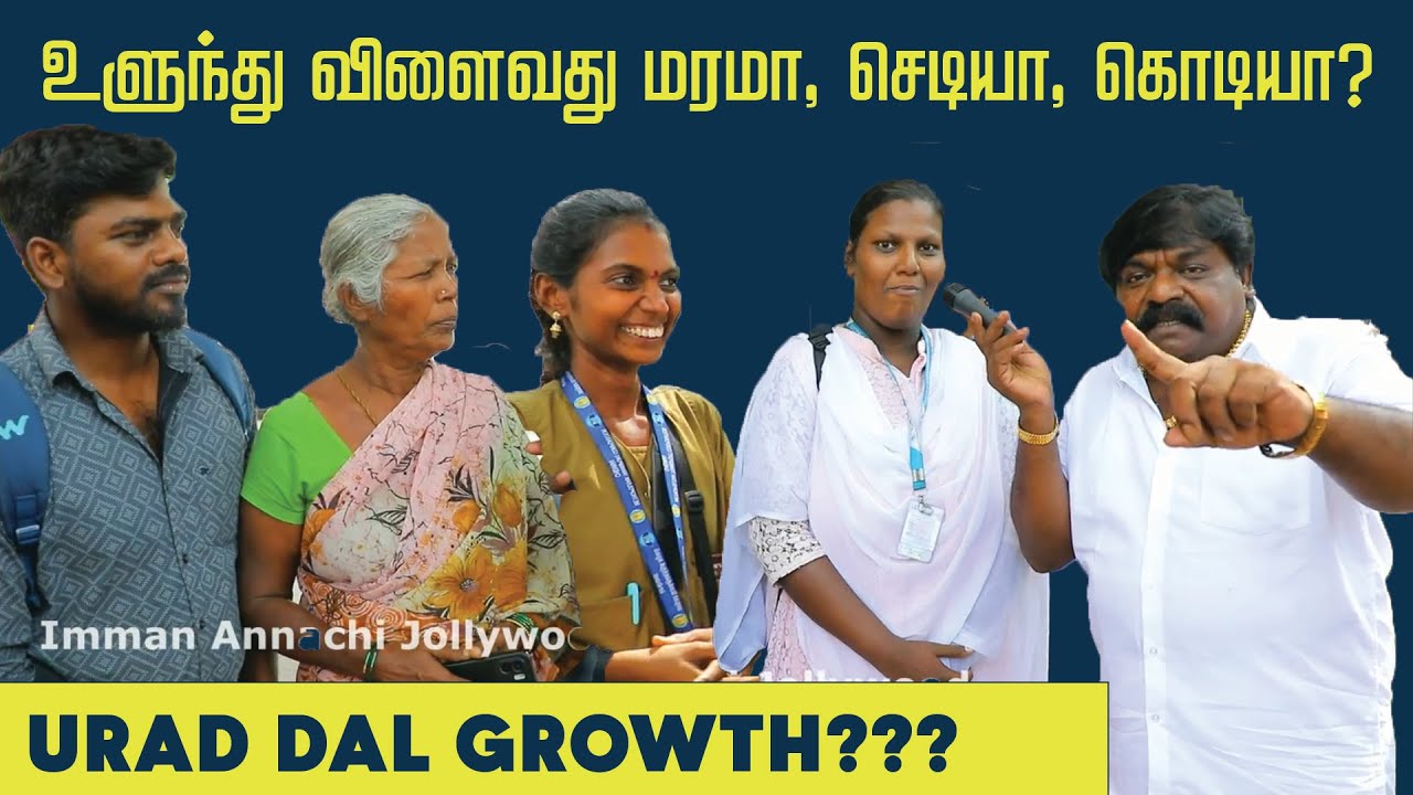 உளுந்து எங்கு விளைகிறது...?? #immanannachi #publicopinion #tamilcomedy