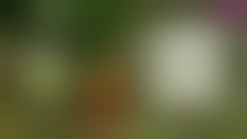 How to Make a HENDRICK