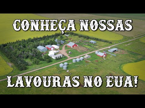 Vídeo: As fazendas trabalham em pedaços descarregados?