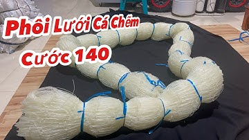 Phôi Lưới Cá CHẼM . Cao 4m x 50m Mắt 19cm. Cước 140 . Thủ Công 100%