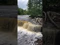 Lower Falls | Nature #Shorts | Tahquamenon Falls State Park | Waterfall Wednesday | View 12