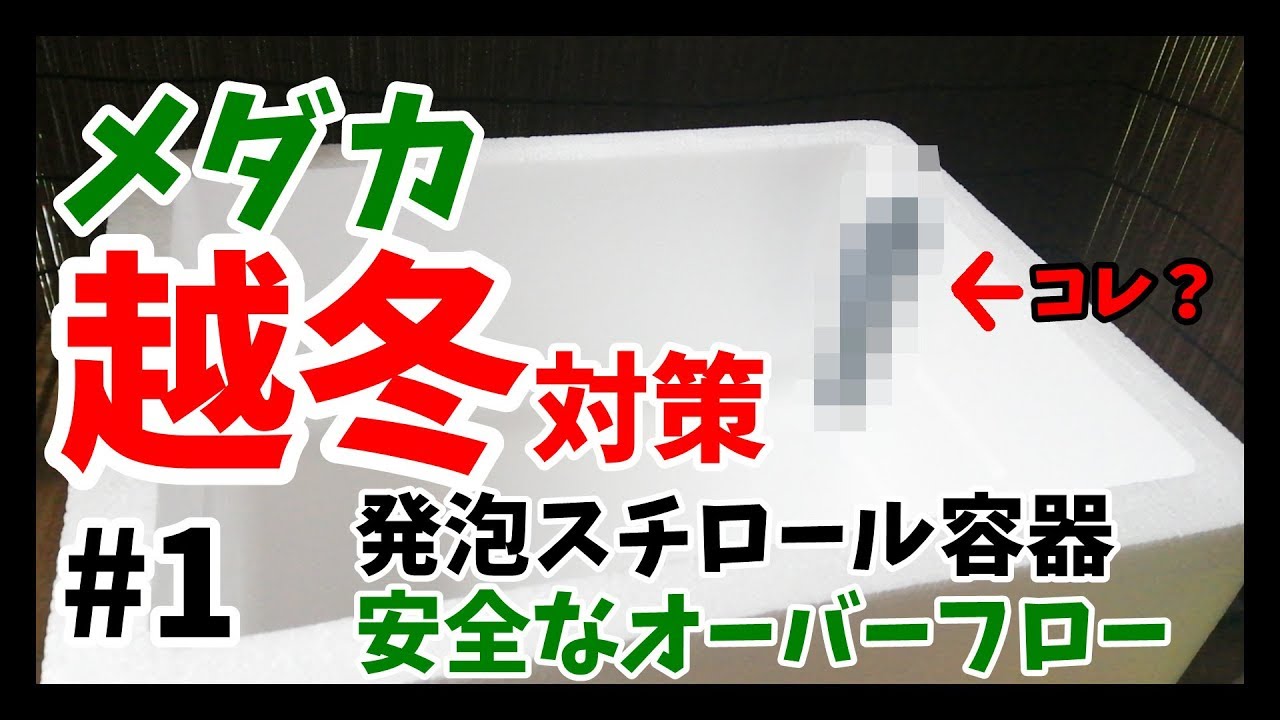 メダカ越冬対策 発泡スチロール容器にひと手間加えたオーバーフロー対策 Japanese Medaka Youtube