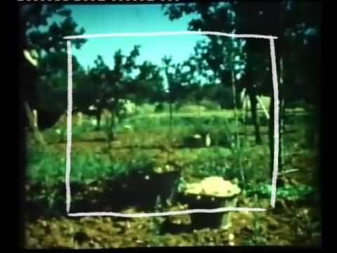 Mark Barrott - Formentera Headspace Blues
