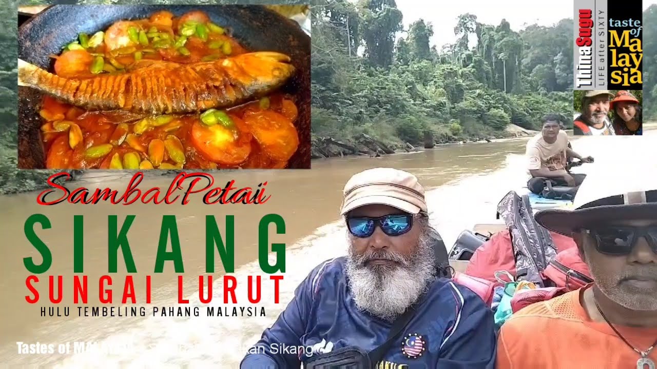 Sikang | MALAYAN HILL TROUT | Braised with Stink Beans | Have you ...
