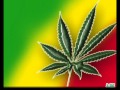 fumate un tabaco de marihuana (con letra)
