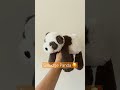 New Jellycats Jellycat Panda Collector Fyp Plush New New Jellycats Jellycat Panda Collector Fyp Plush New