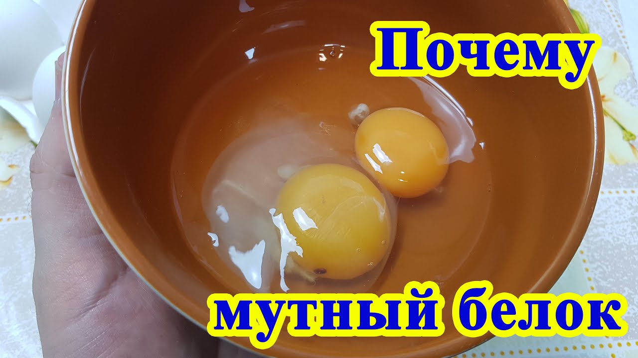 Почему яйца жидкие. Мутный белок у куриного яйца. Мутный белок в сыром яйце причины. Непрозрачный белок у яйца.