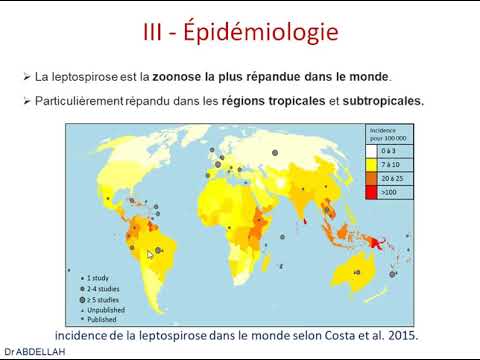 Vidéo: Leptospirose Dans Un Rapport De Cas De Patient Asplénique