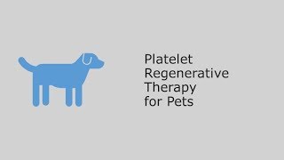 Platelet Regenerative Therapy for Pets