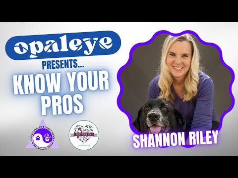 Know Your Pros: Shannon Riley of Ventura Pet Wellness and Force Free Animal Training