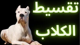 تقسيط الكلاب