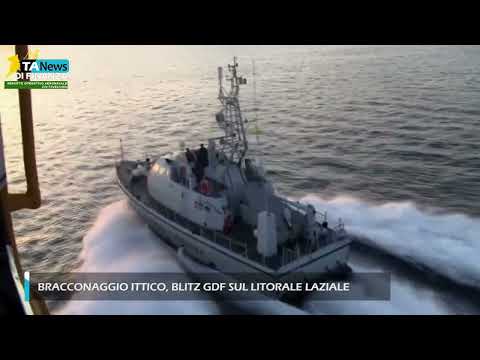 Video Bracconaggio ittico, blitz Gdf sul litorale laziale