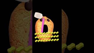 Schwamm essen Seife trinken