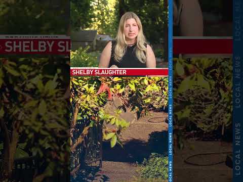 Vancouver Wa Police Activity