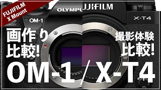 OM-1というカメラをX-T4ユーザーの視点から語る。【ファームアップ次第でOM-1が圧倒的上位互換か？】