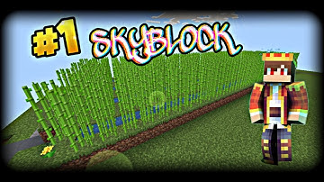 Starting A New World In Skyblock || NetherGames #1