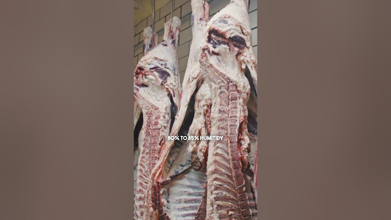 Get ready for our next YouTube Video launching TODAY, August 30, at 6PM!  #shorts #beef #steak