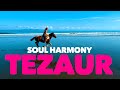 Soul Harmony Tezaur 528 Hz Music Therapy Peace And Love