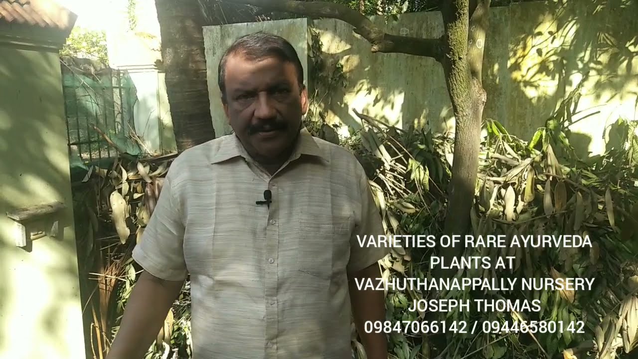 Rare Ayurveda Plants at our Nursery Trivandrum, Kerala